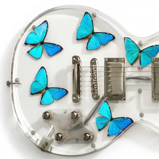 Acrylic embedments 15