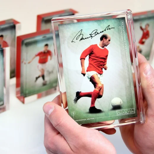 Acrylic embedments 33