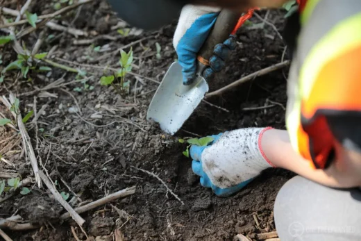 Helping our planet 7