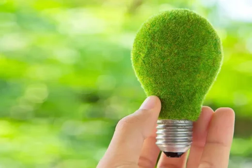 Eco Bulb