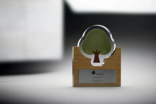 Acrylic and wood deal toy in the shape of a tree