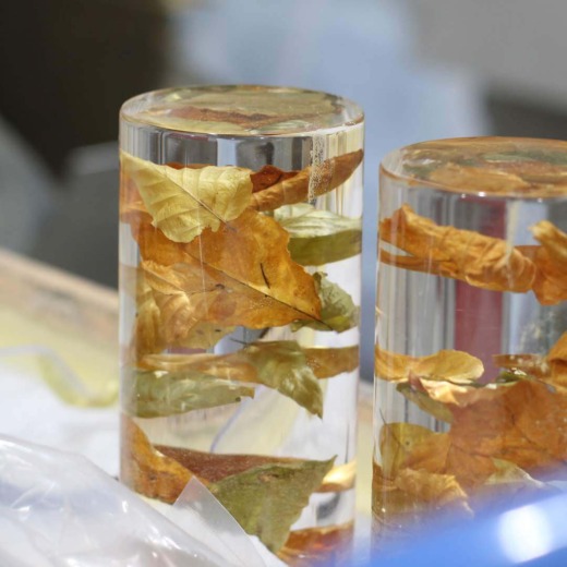 Two clear acrylic cylinders for bespoke lighting with brown anf green leafs embedded