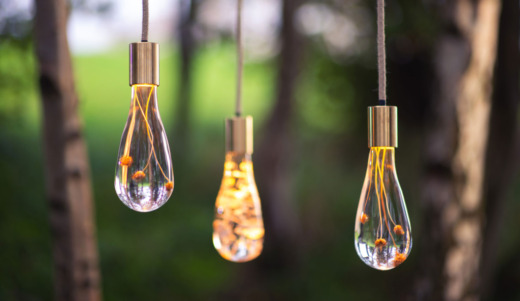 Three bespoke lighting droplet lights with brass fixings hanging on ropes with a forest in the background