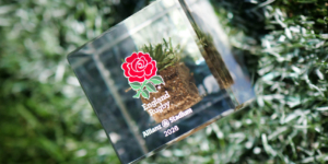 Official England Rugby acrylic keepsake containing genuine Allianz Stadium turf before preservation by Midton.
