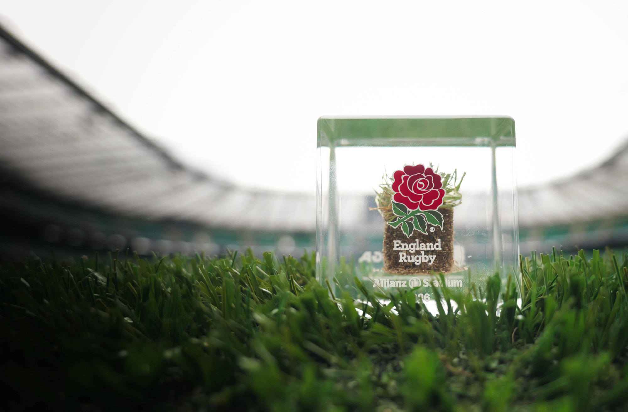 England Rugby memorabilia cube photographed on the historic Allianz Stadium pitch before its replacement.