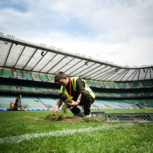 Midton collecting authentic turf from the historic Allianz Stadium pitch before its replacement to create official England Rugby memorabilia and collector's keepsakes.
