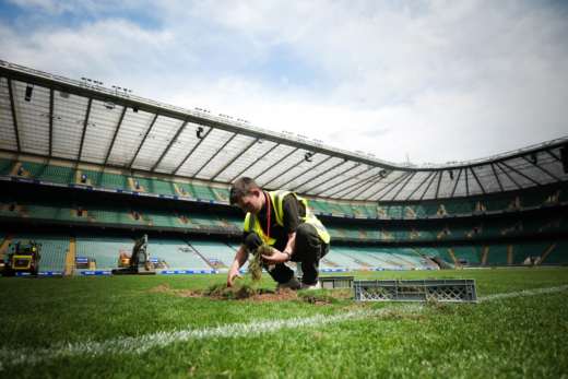 Midton collecting authentic turf from the historic Allianz Stadium pitch before its replacement to create official England Rugby memorabilia and collector's keepsakes.