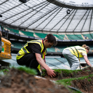 Midton team selecting authentic turf during the Allianz Stadium pitch replacement for the England Rugby memorabilia collection.