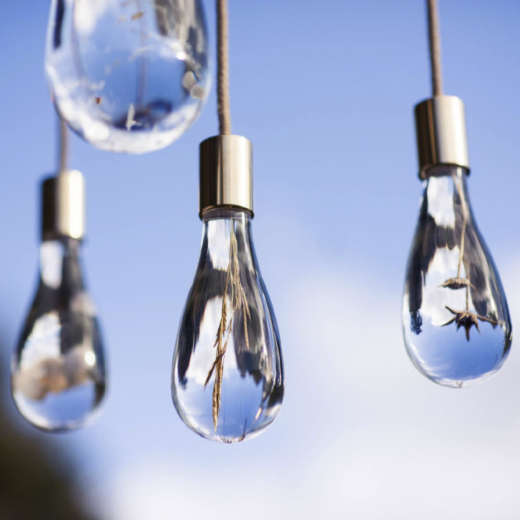 Collection of bespoke clear acrylic pendant lights with different natural materials embedded inside