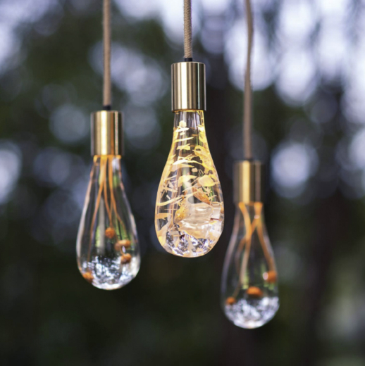 Dan Heap bespoke acrylic lighting collection with illuminated natural materials encapsulated in clear acrylic