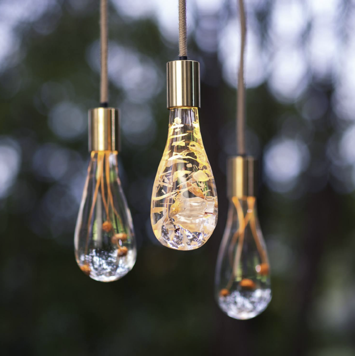Dan Heap bespoke acrylic lighting collection with illuminated natural materials encapsulated in clear acrylic